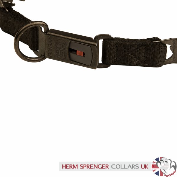 "Dark Force" Black Stainless Steel Dog Pinch Collar with Click Lock Buckle