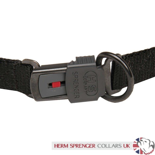 "Daily Trainer" Black Stainless Steel Herm Sprenger Prong Collar for Dog Training
