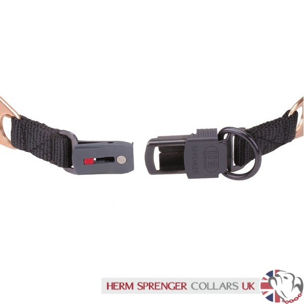 "Aggression Buster" 4 mm Curogan Herm Sprenger Prong Collar with Security Buckle